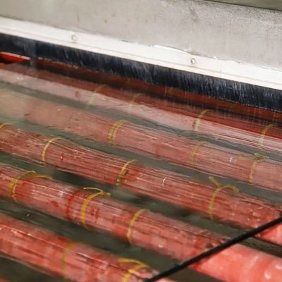 3mm-19mm Customizable Size Float Glass Tempered Glass Toughened Glass for Door Window Railing Balcony Shower Room